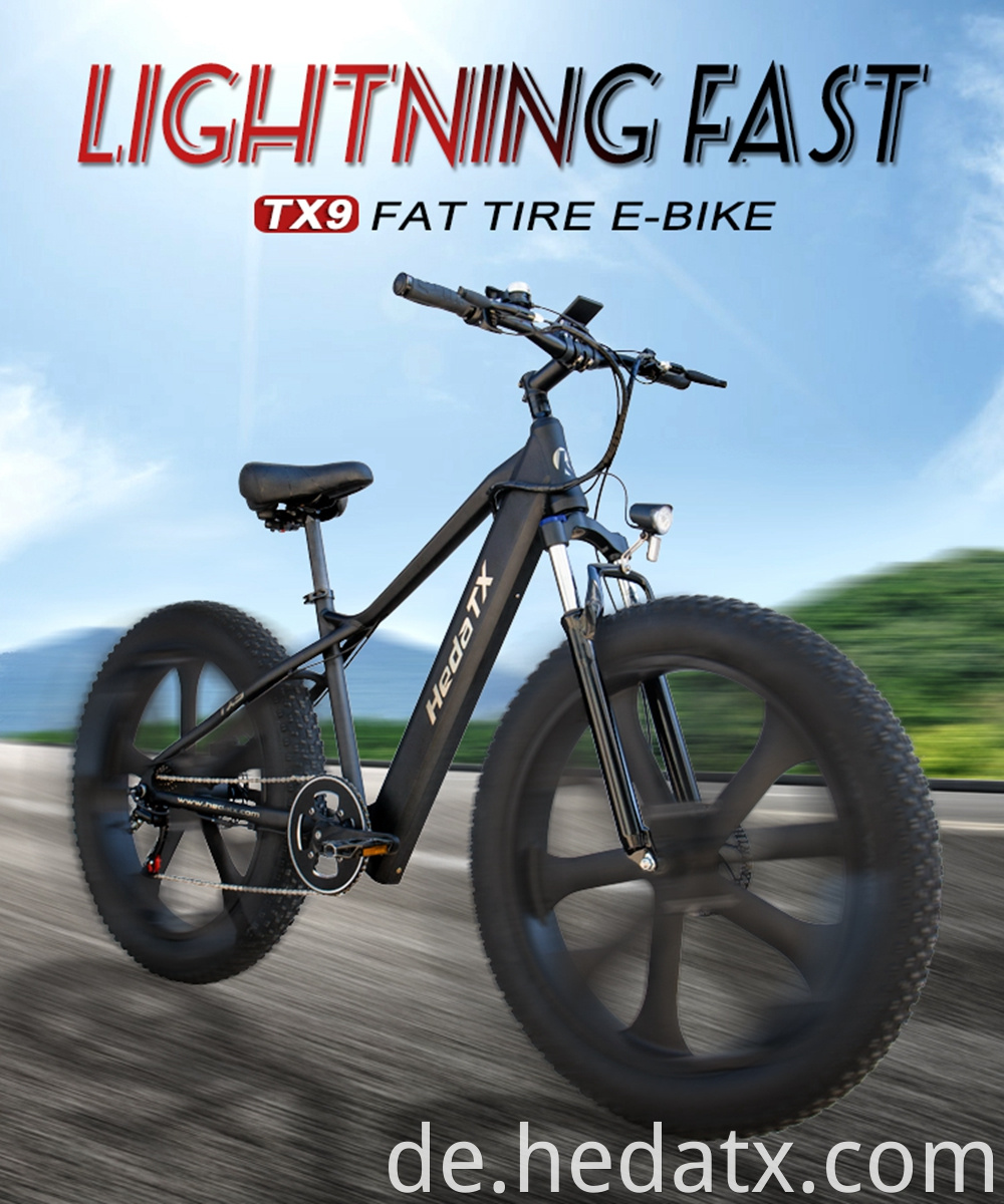 Fat Tire Electric Bicycle With Good Shock Absorption